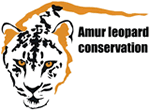 amur leopard conservation