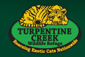 Turpentine Creek Big Cat Rescue